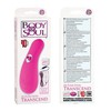 Набор массажер и яйцо Body & Soul™ 10-функций Transcend™ pink