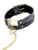 Ошейник с поводком Fetish Fantasy Gold® Collar & Leash™