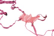 Вибробабочка для клитора Toyfa на ремешках, розовая, 7х10см
