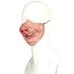 Латексная маска Pig Mask Lfm-100